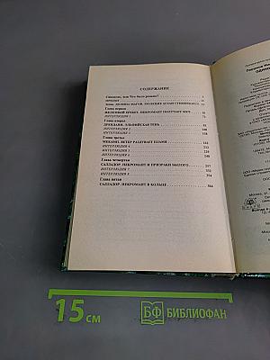 Одиночество мага. Хранитель мечей. Книга третья. Том первый