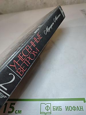 Унесенные ветром. Том 2