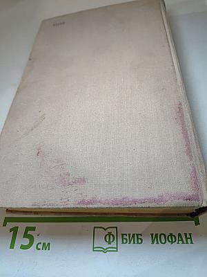 Роман в Межгорье