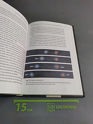 Кратчайшая история времени