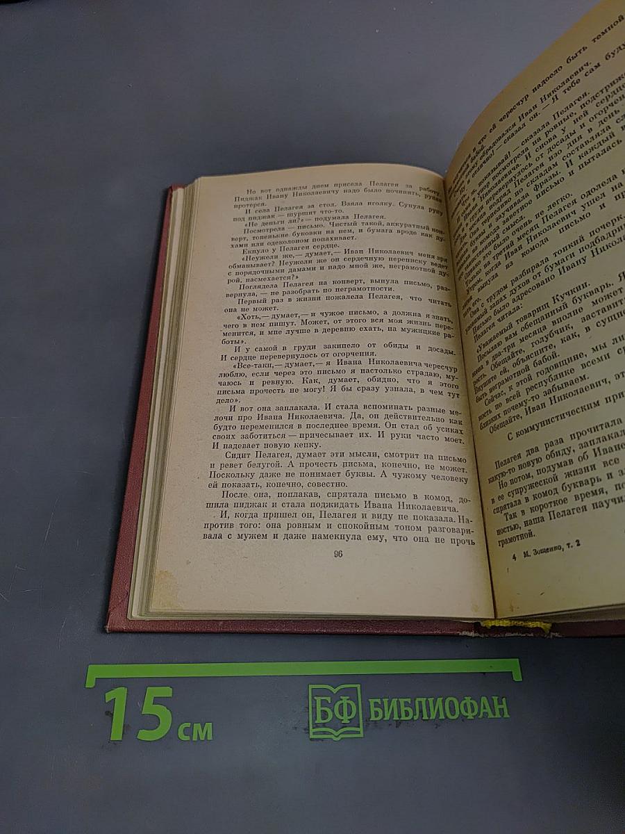Избранное. В двух томах. Том 2. Голубая книга