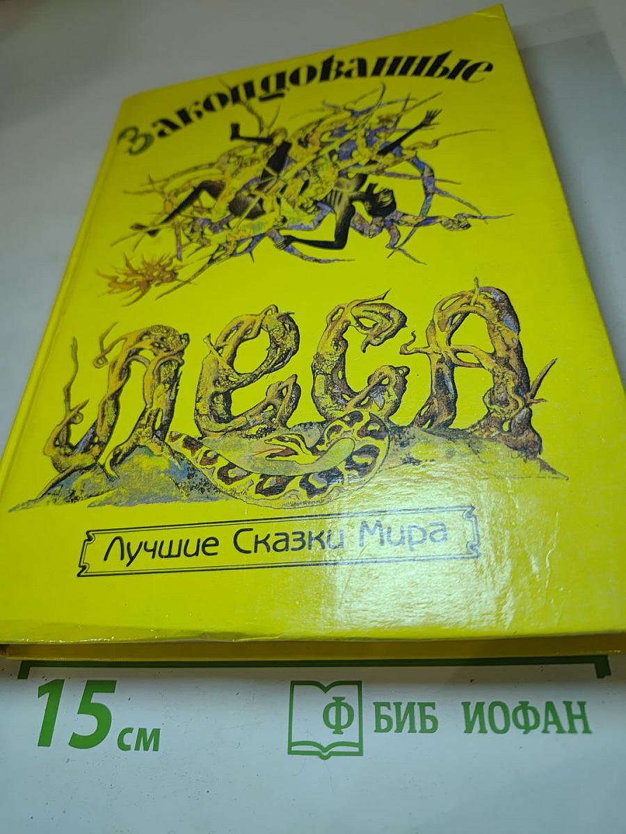 Заколдованные Леса
