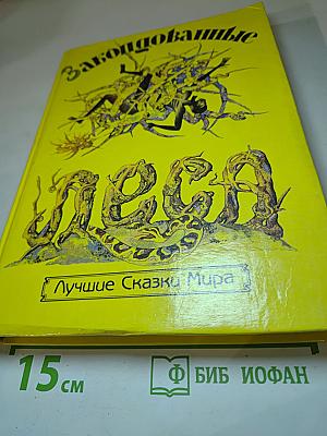 Заколдованные Леса
