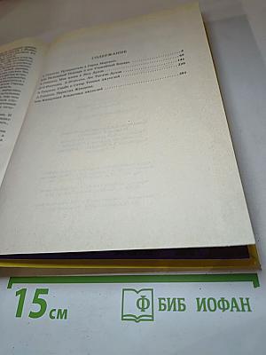 Заколдованные Леса