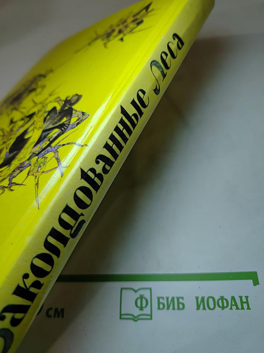 Заколдованные Леса