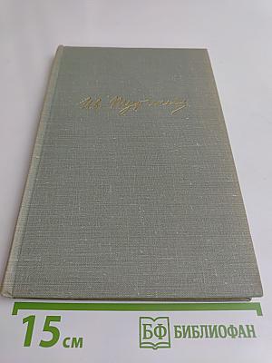 Собрание сочинений. Том седьмой. Повести и рассказы 1862-1870