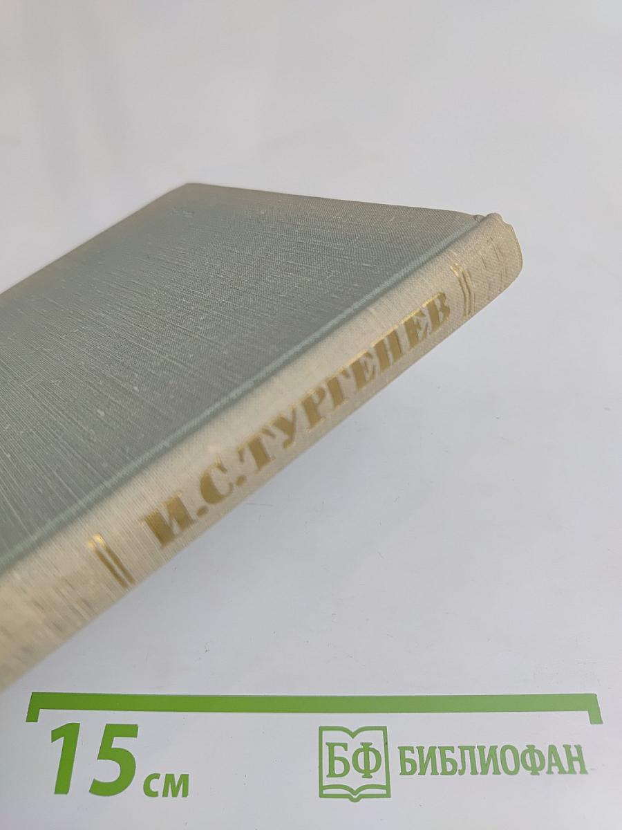 Собрание сочинений. Том седьмой. Повести и рассказы 1862-1870