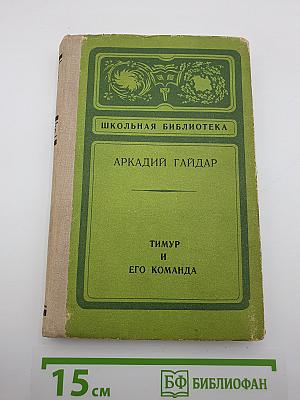 Тимур и его команда