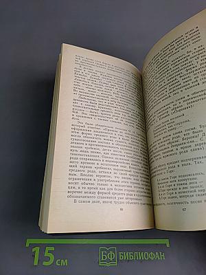 Лингвистические парадоксы