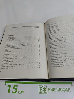 Серебряный простор