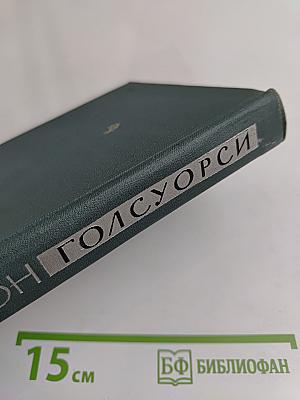 Собрание сочинений в шестнадцати томах. Том 13