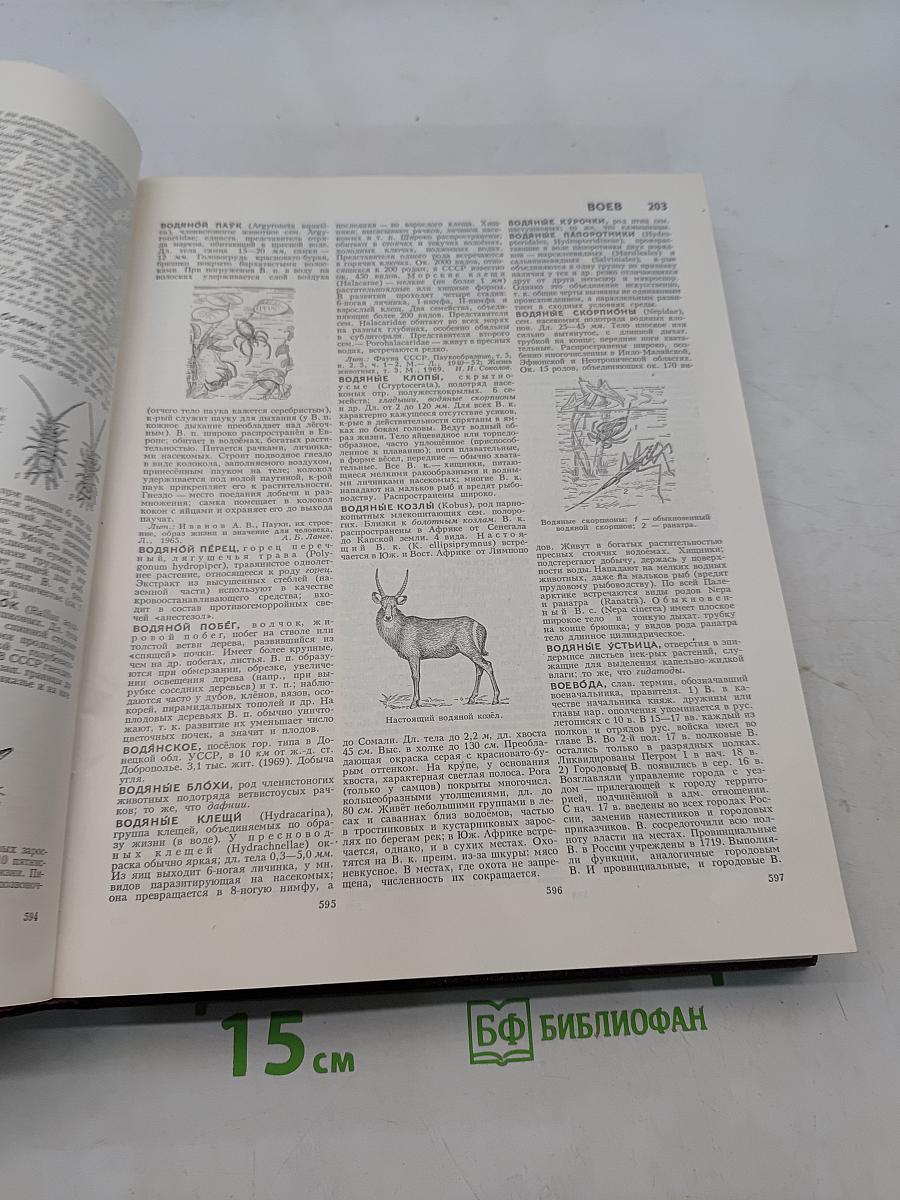 Большая Советская Энциклопедия. Том 5. Вещин - Газли