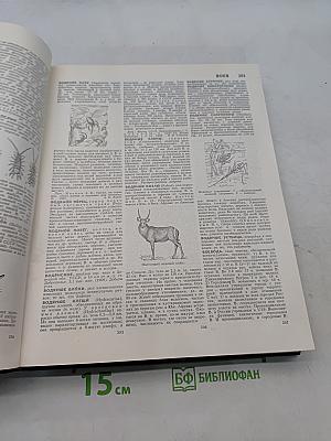 Большая Советская Энциклопедия. Том 5. Вещин - Газли
