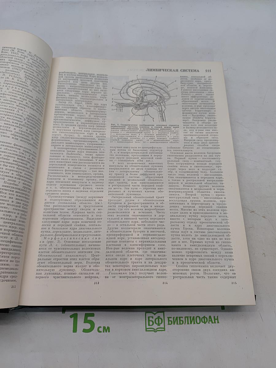 Большая медицинская энциклопедия. Том 13. Ленин и здравоохранение - Медицина