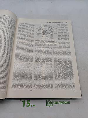 Большая медицинская энциклопедия. Том 13. Ленин и здравоохранение - Медицина