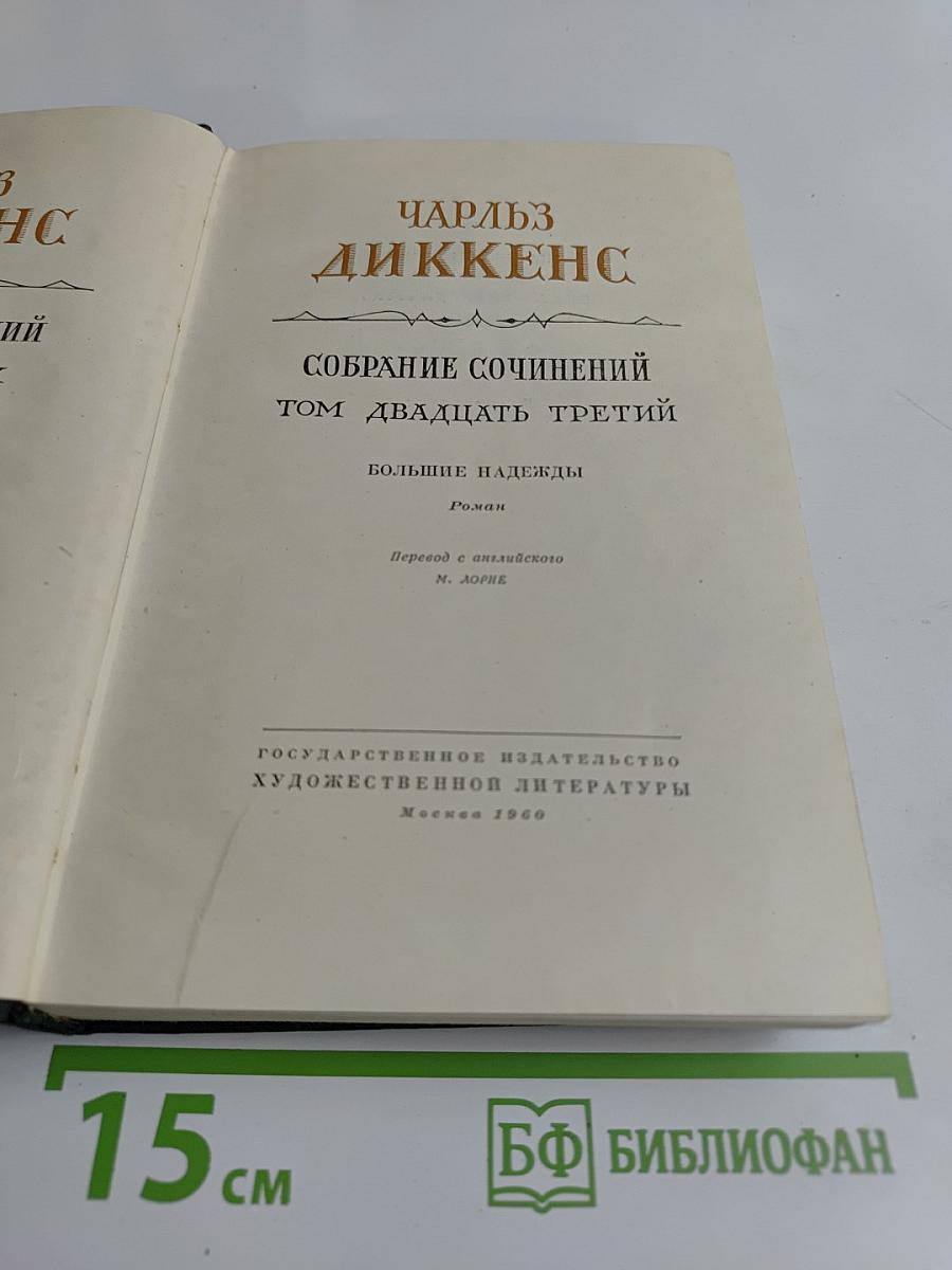 Собрание сочинений. Том двадцать третий. Большие надежды