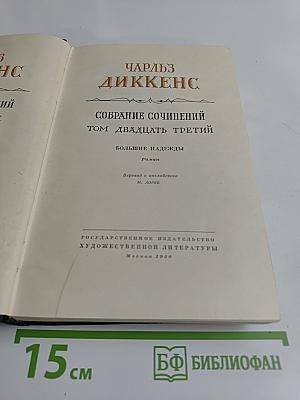 Собрание сочинений. Том двадцать третий. Большие надежды