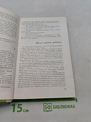 Летят наши годы. Роман по заказу