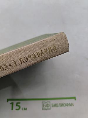 Летят наши годы. Роман по заказу