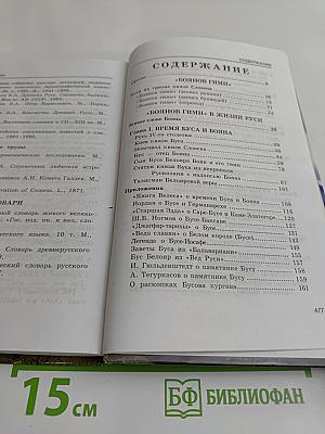 Руны славян и «Боянов гимн»
