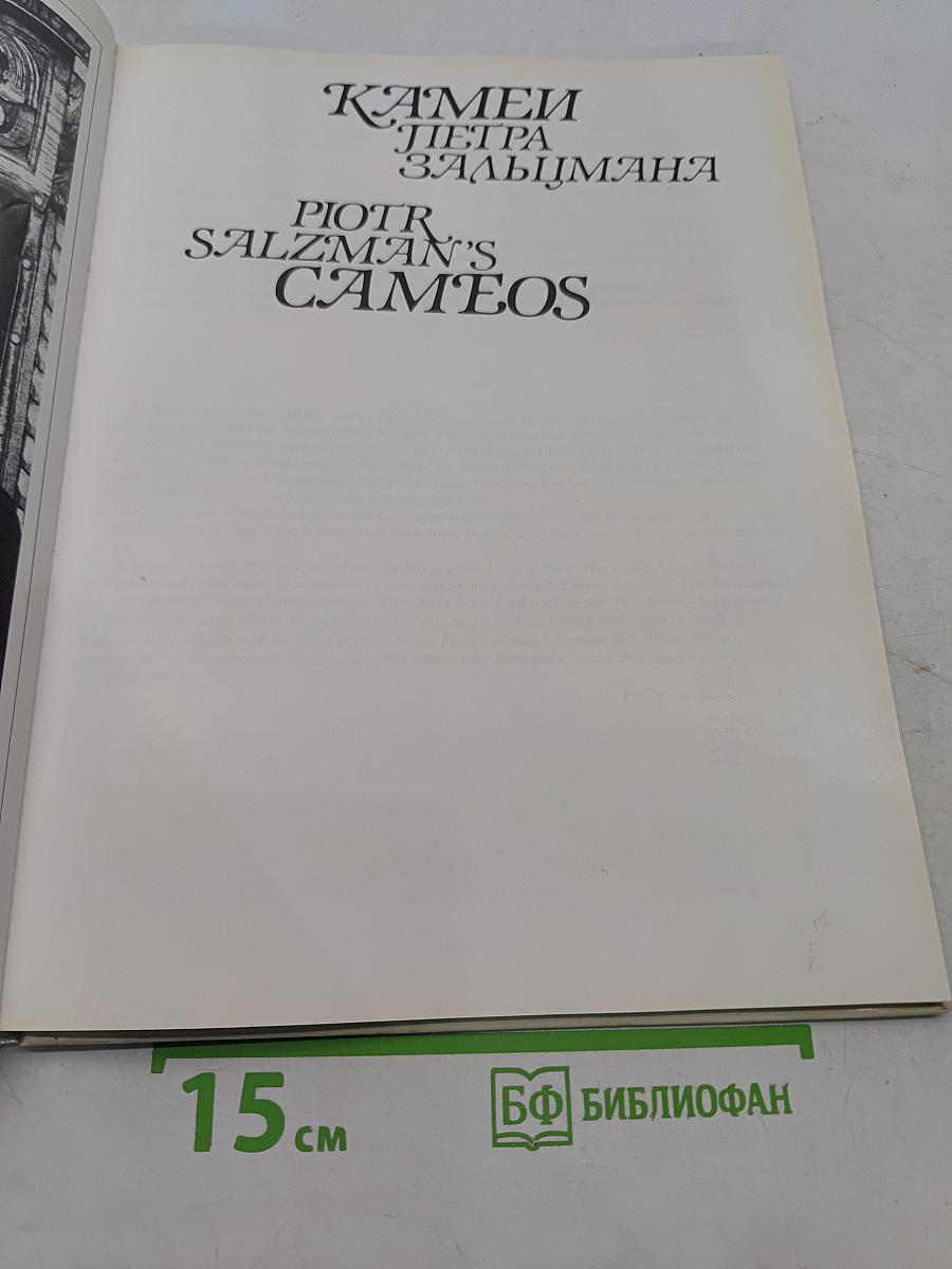 Камни Петра Зальцмана