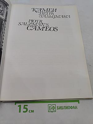 Камни Петра Зальцмана