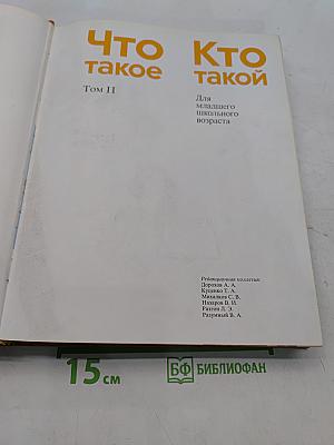 Что такое? Кто такой? Том II