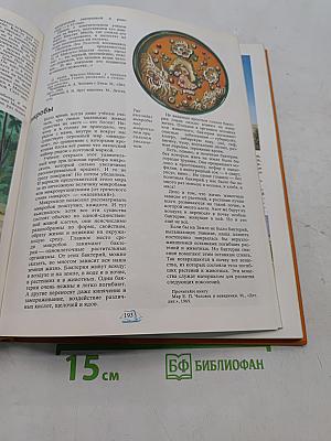 Что такое? Кто такой? Том II