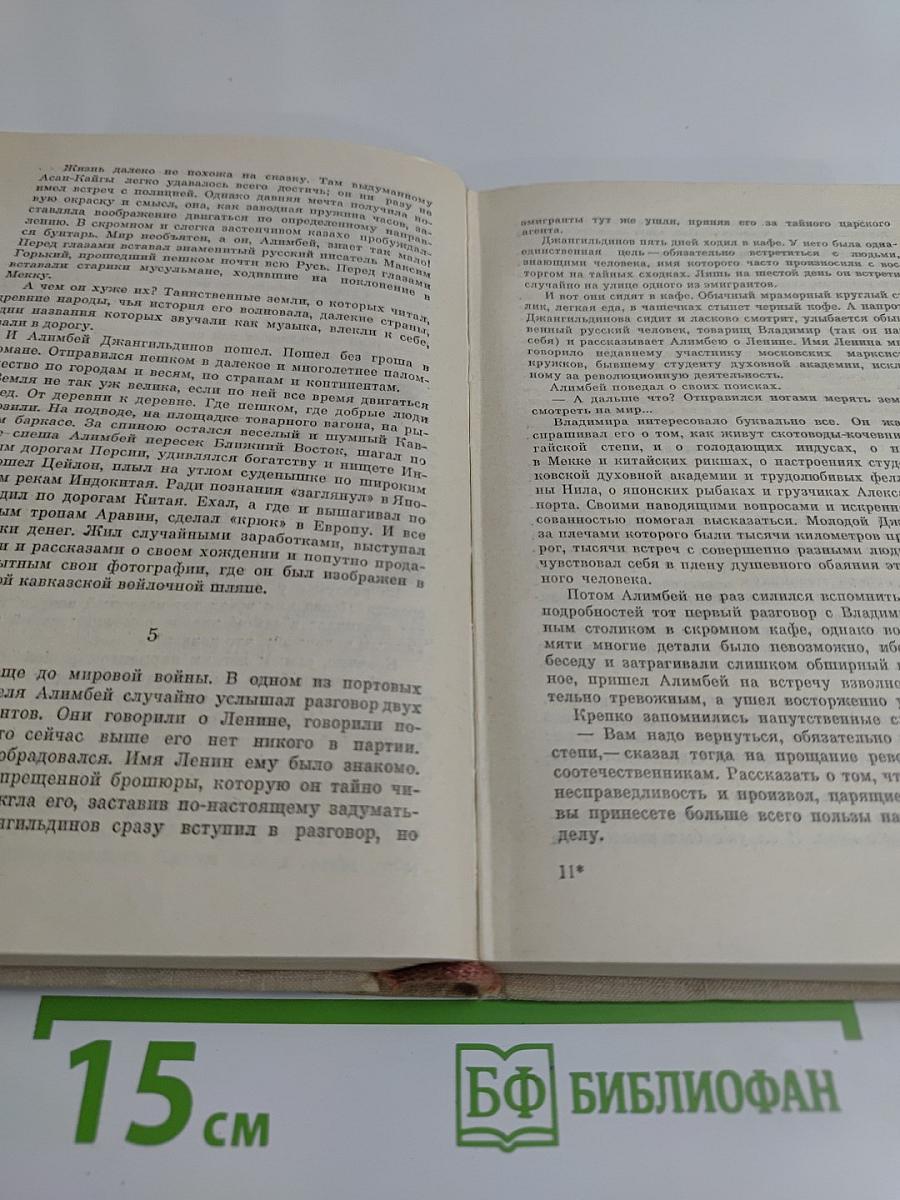 Джексон остается в России. Дерзкий рейд (по заданию Ленина)