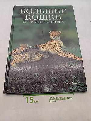 Большие кошки