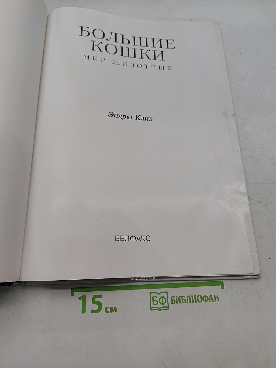 Большие кошки
