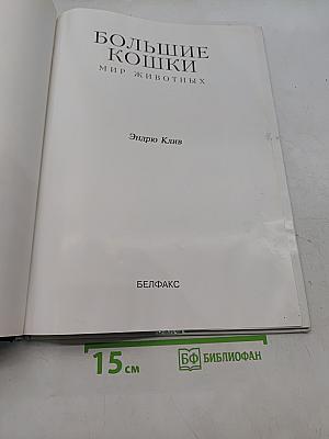 Большие кошки