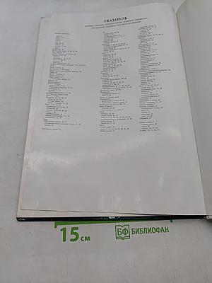 Большие кошки