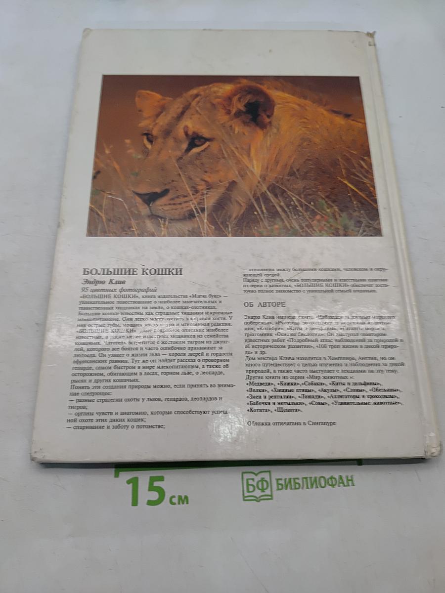 Большие кошки