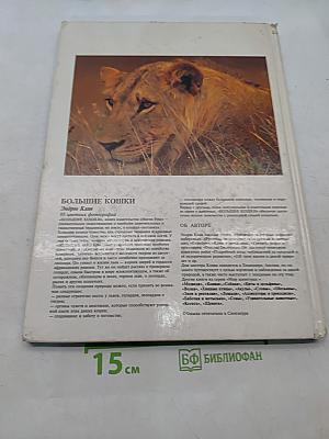 Большие кошки