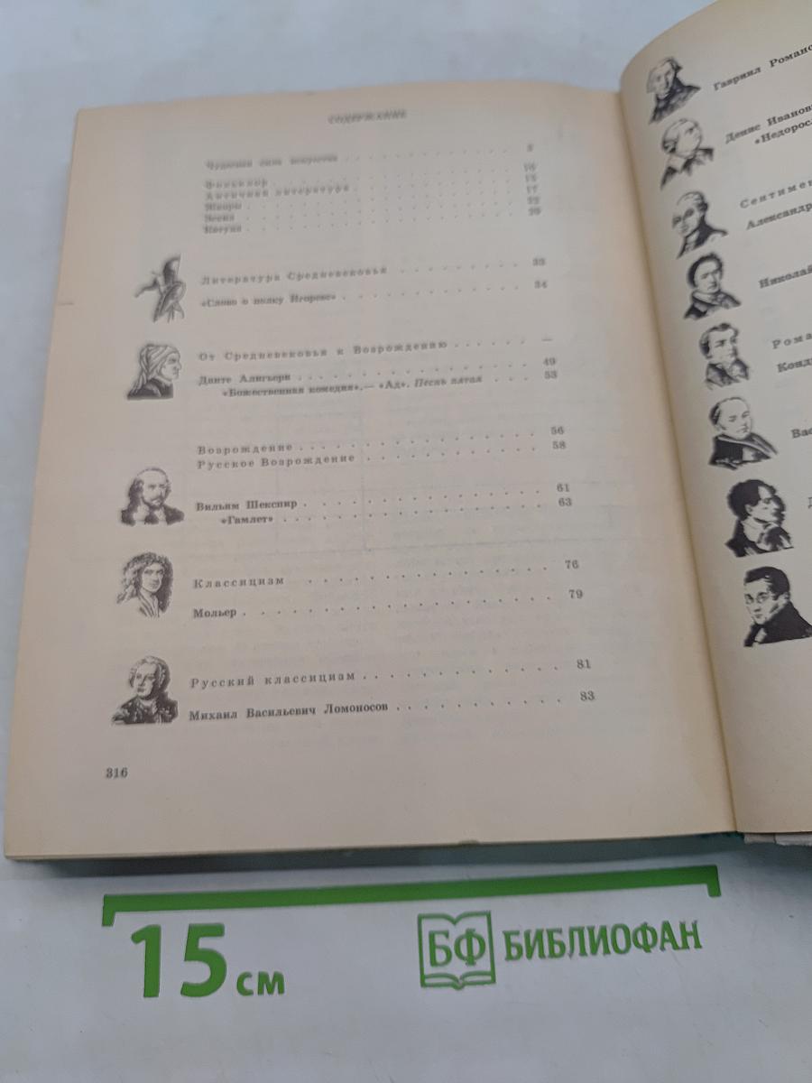 Литература 9 класс