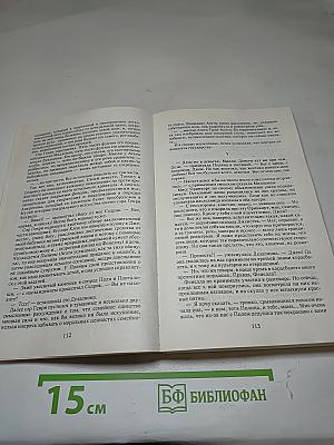 Занавес опускается. Курьер