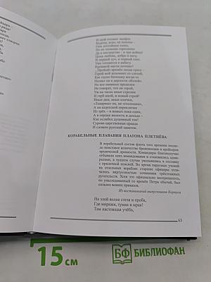 Императорского флота офицер Платон Плетнёв