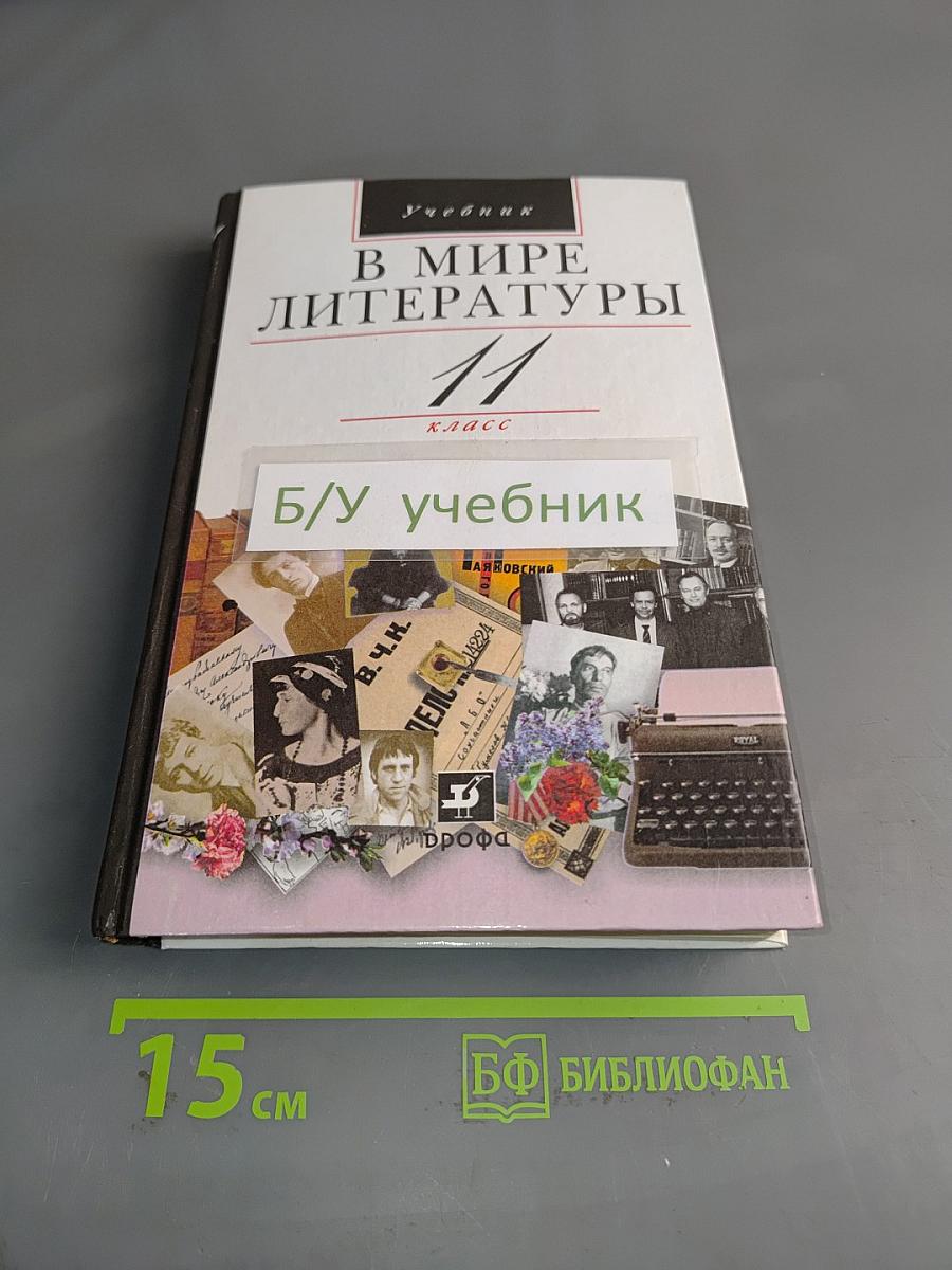 В мире литературы. 11 класс