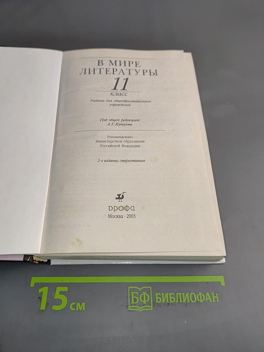 В мире литературы. 11 класс