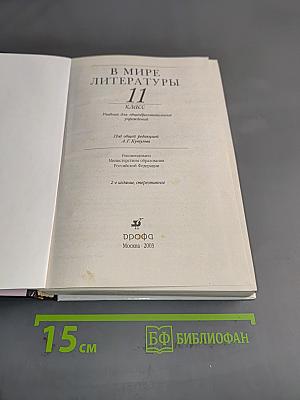 В мире литературы. 11 класс