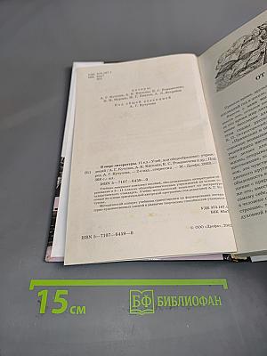 В мире литературы. 11 класс