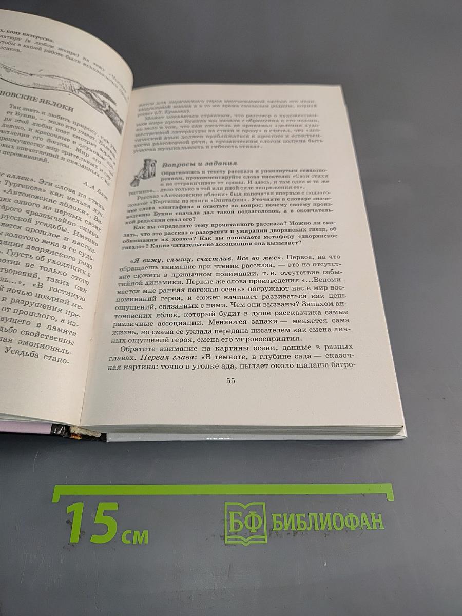 В мире литературы. 11 класс
