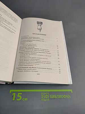 В мире литературы. 11 класс
