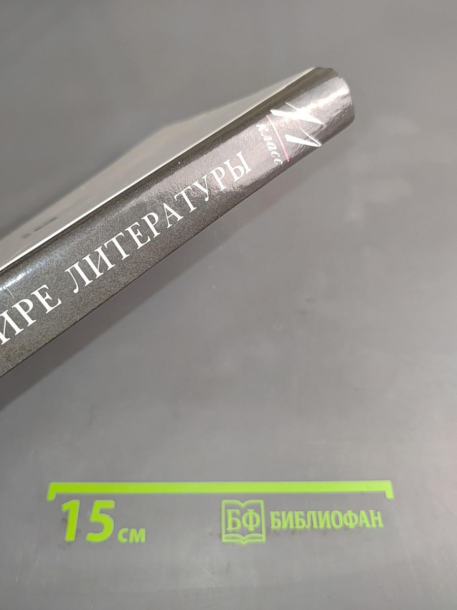 В мире литературы. 11 класс