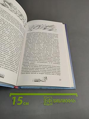 Как устроить вечеринку