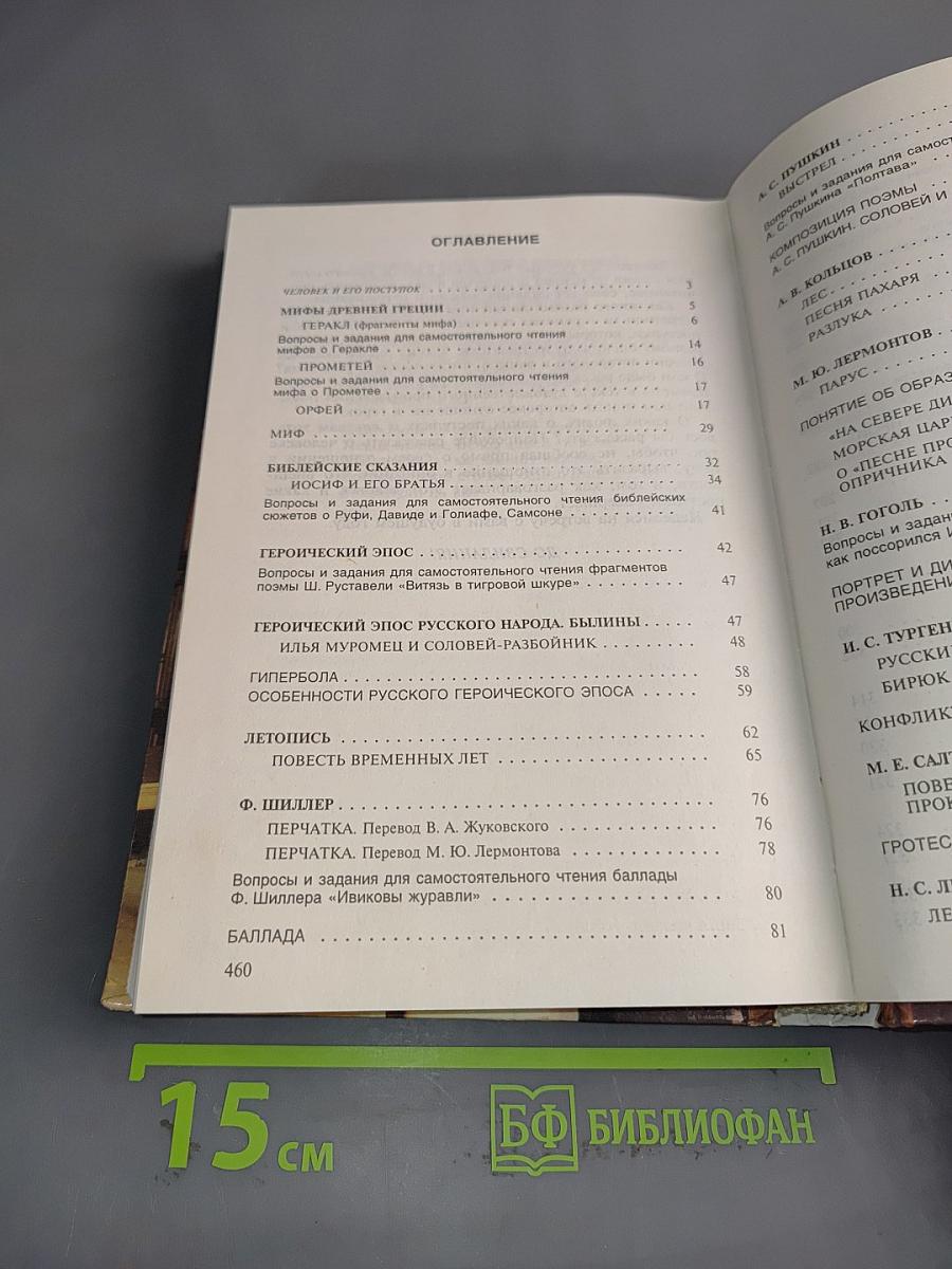 Литература. Учебник-хрестоматия для 6 класса