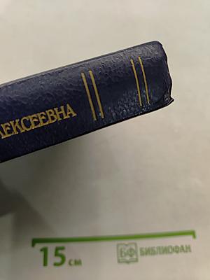 Царица Екатерина Алексеевна, Анна и Виллем Монс. Очерк из русской истории XVIII века