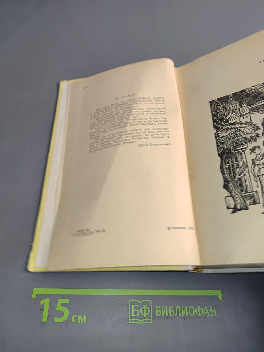 Жизнь и приключения Лонг Алека