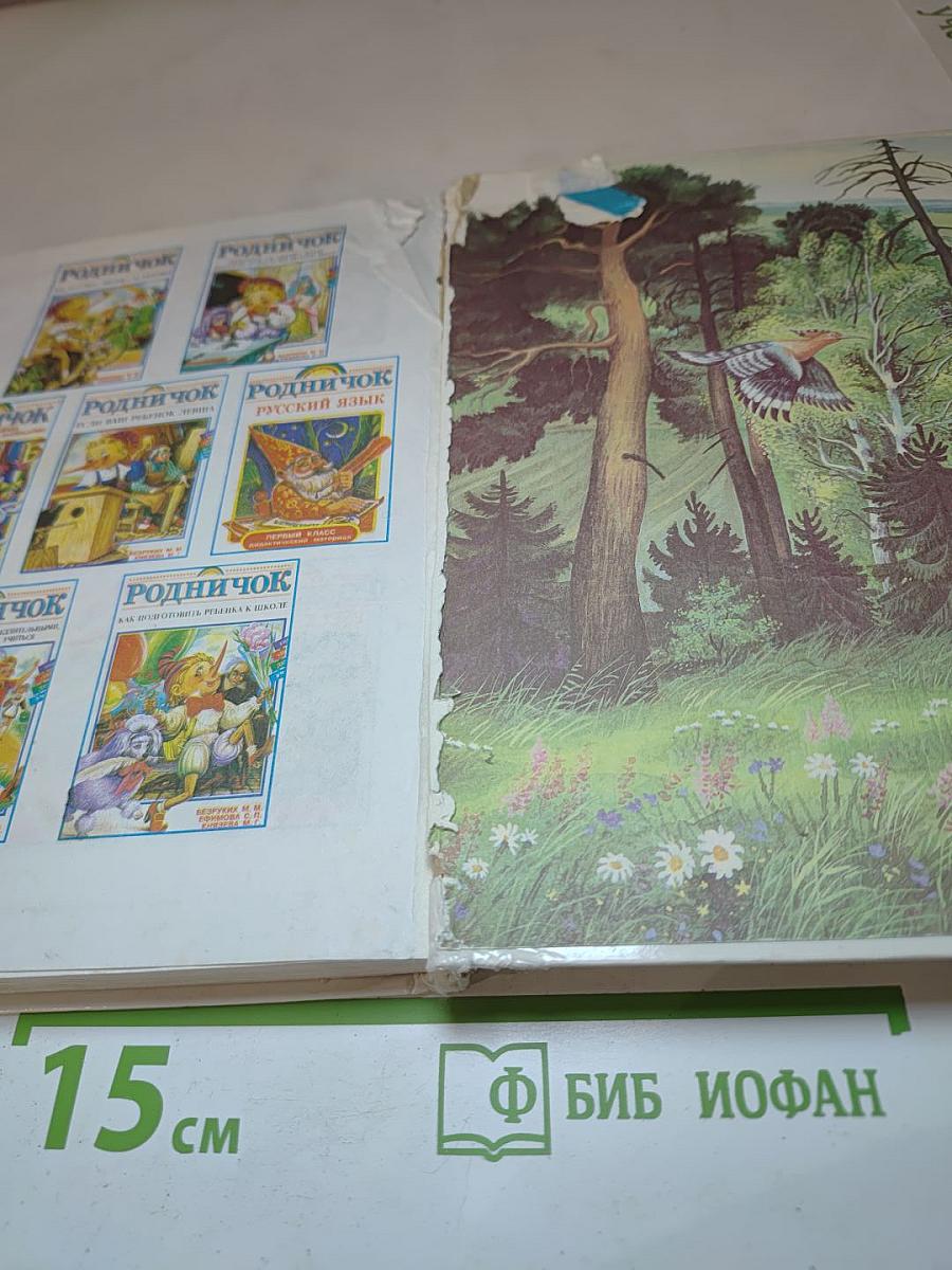 Родничок. Книга для внеклассного чтения в 1 классе